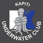 logo-1
